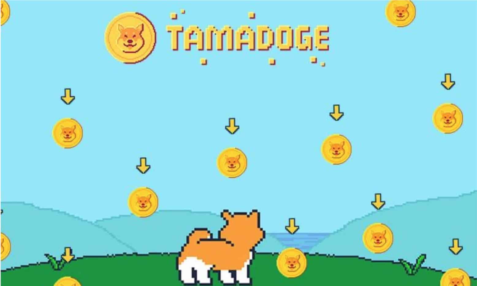 타마도지($TAMA) 주요 업데이트: 타마도지 아레나, TAMA NFT, 메가 토큰 소각 출시 – 신규 타마도기 앱 출시 임박